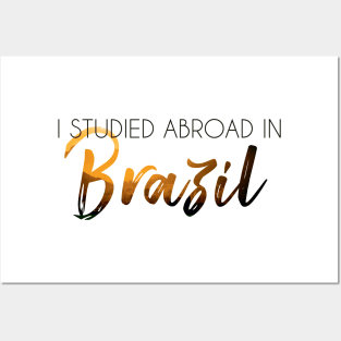 I Studied Abroad in Brazil Posters and Art